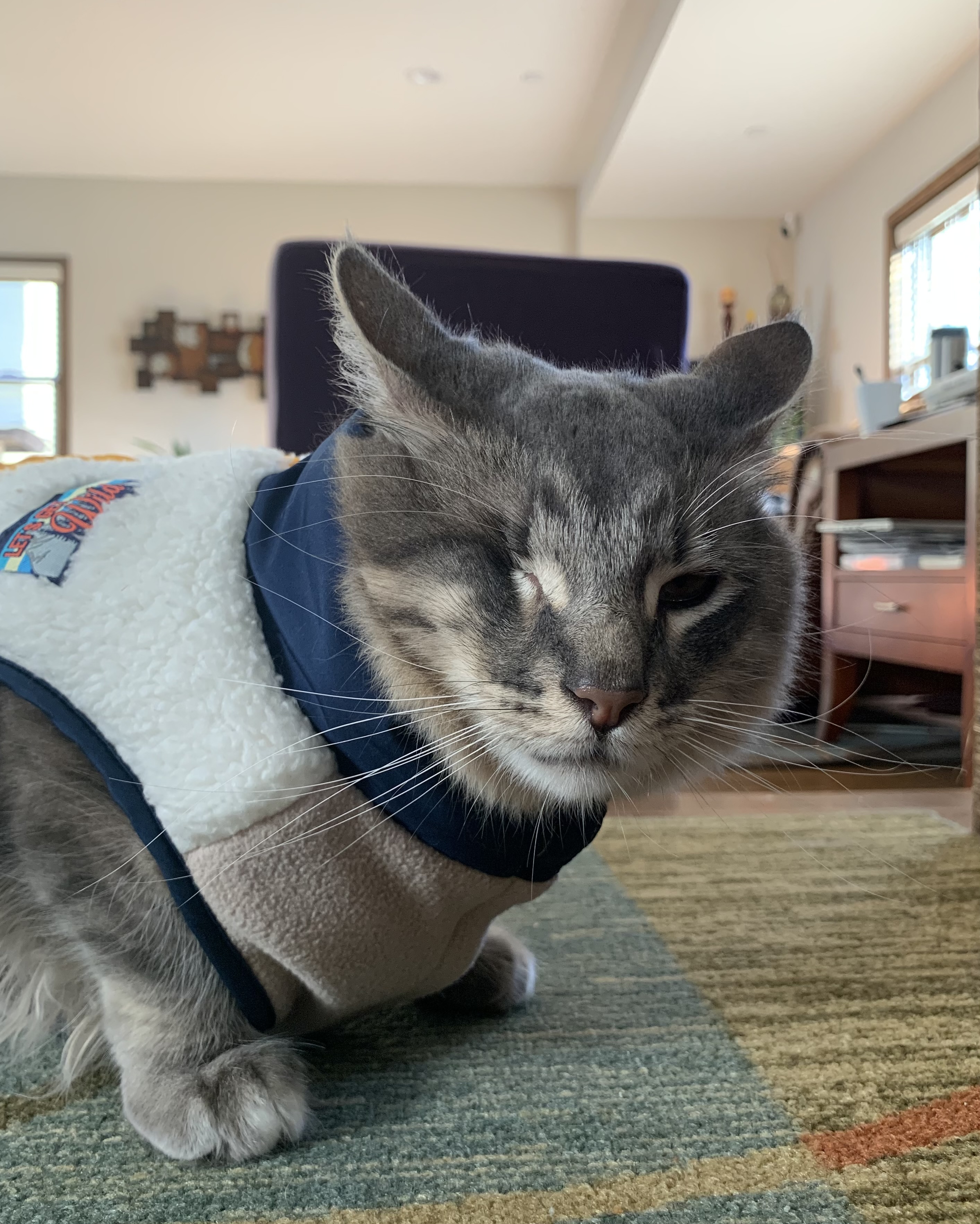 Stinkie's profile photo.